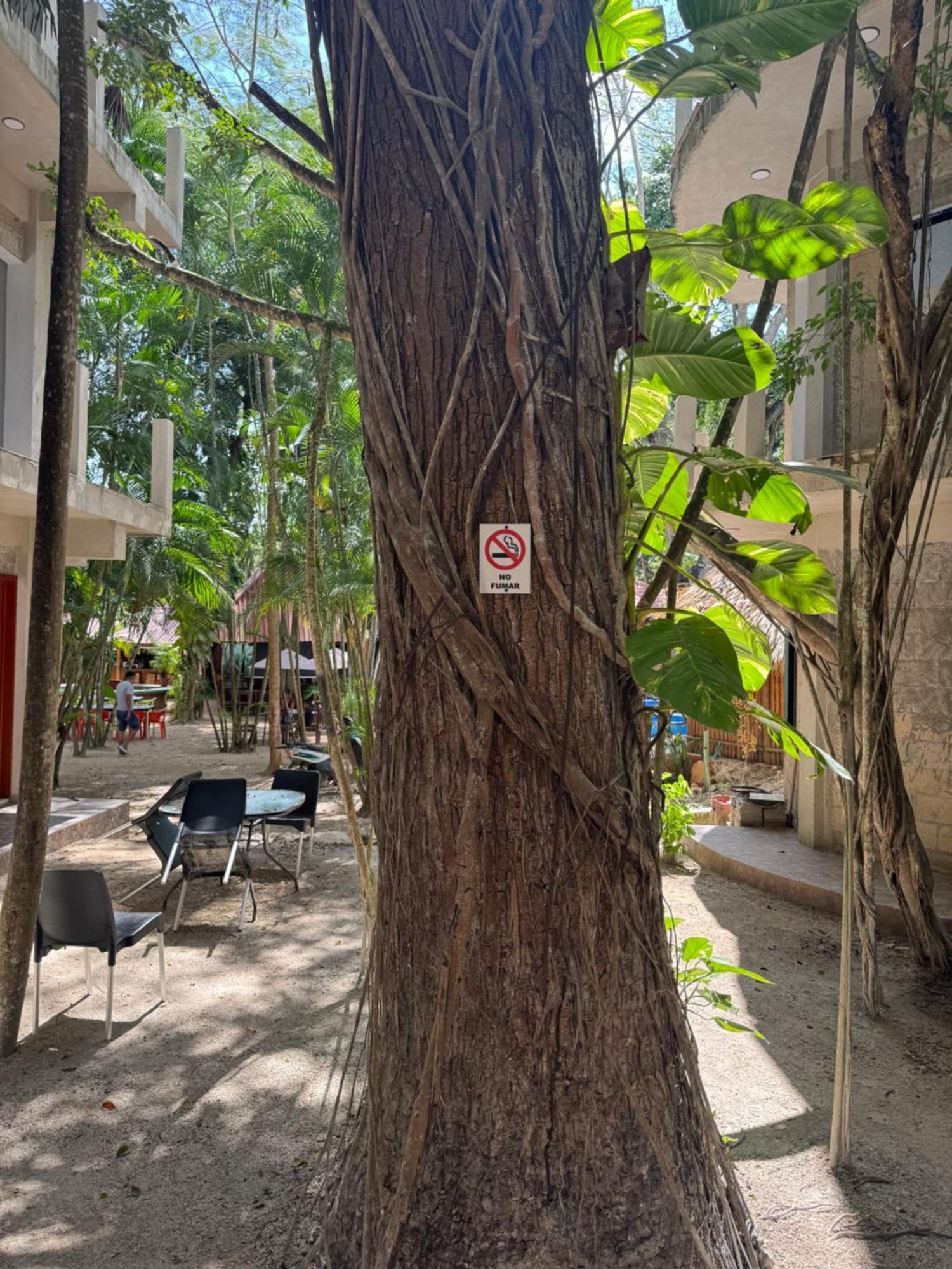 Hotel Bambus Felipe Carrillo Puerto 외부 사진